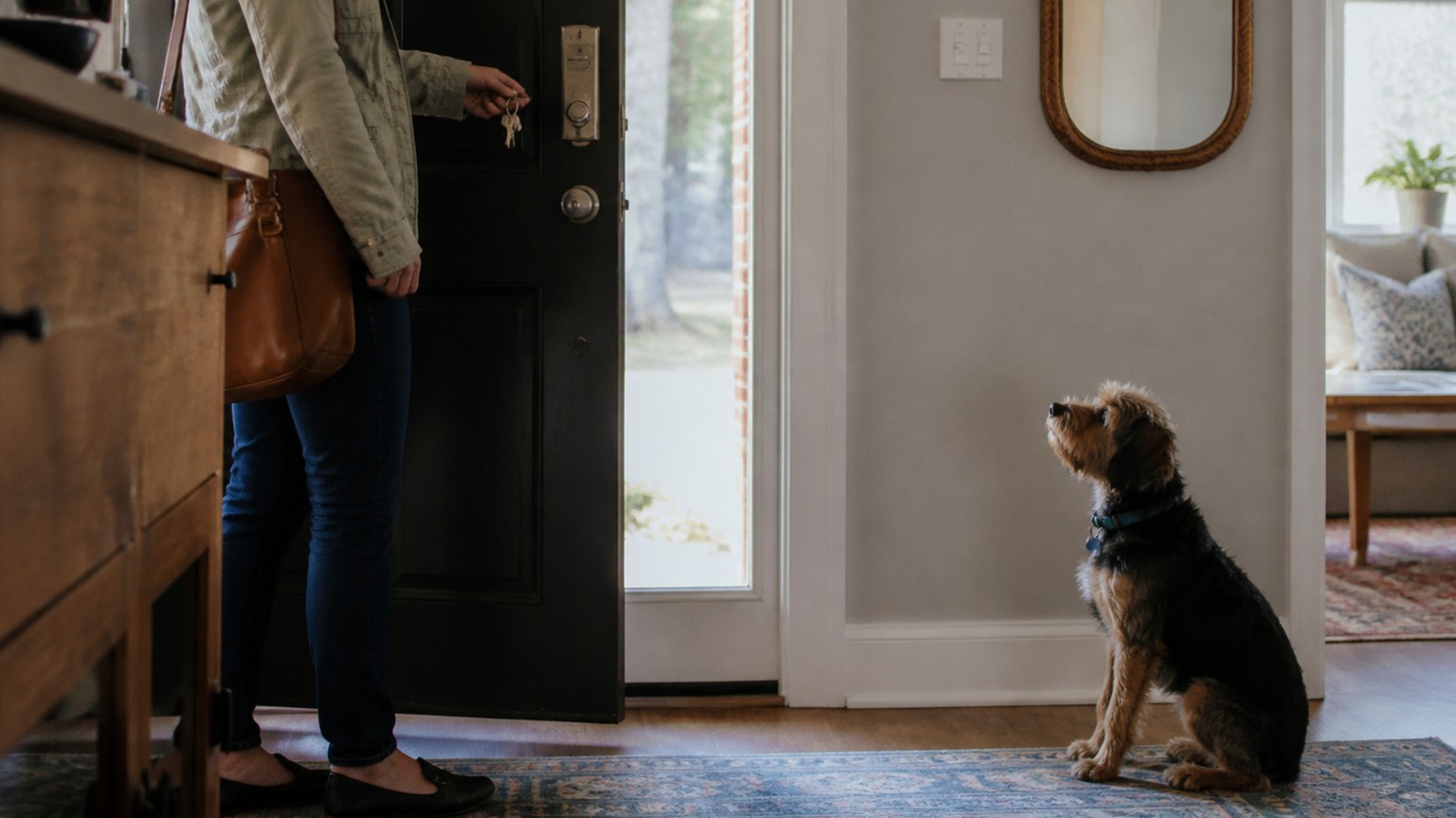 An owner setting keys down while their dog rests nearby.